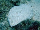 Curacao 04-12 346